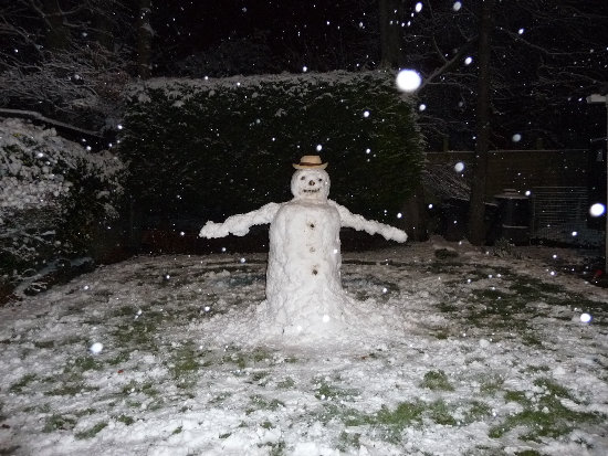 snowman-feb-2009.JPG