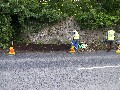 Clane rd planting june (1).jpg