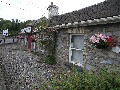 tidy towns (39).jpg